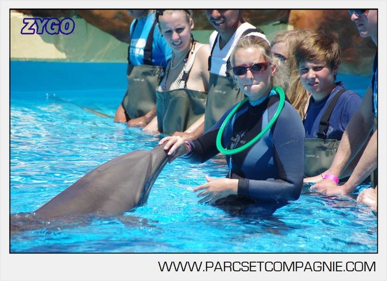 Marineland - Lagoon - Rencontre avec les dauphins - 6378
