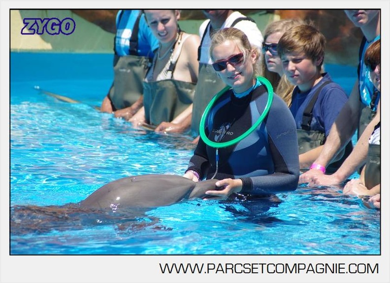Marineland - Lagoon - Rencontre avec les dauphins - 6379
