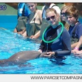 Marineland - Lagoon - Rencontre avec les dauphins - 6379