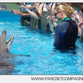 Marineland - Lagoon - Rencontre avec les dauphins - 6381