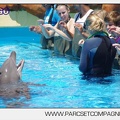 Marineland - Lagoon - Rencontre avec les dauphins - 6382