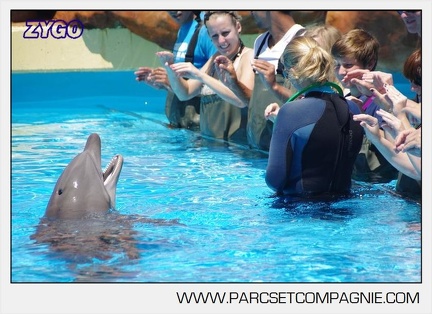 Marineland - Lagoon - Rencontre avec les dauphins - 6382