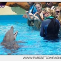 Marineland - Lagoon - Rencontre avec les dauphins - 6383