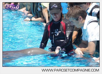 Marineland - Lagoon - Rencontre avec les dauphins - 6384