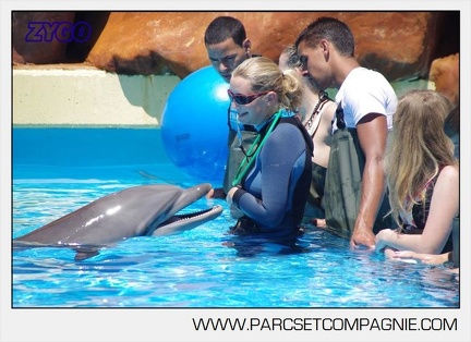 Marineland - Lagoon - Rencontre avec les dauphins - 6385