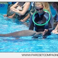 Marineland - Lagoon - Rencontre avec les dauphins - 6386