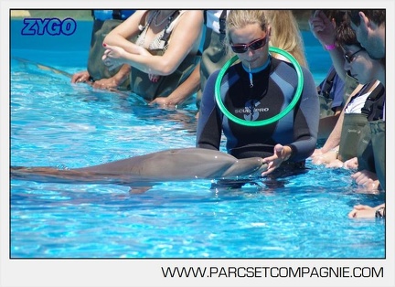 Marineland - Lagoon - Rencontre avec les dauphins - 6386
