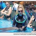 Marineland - Lagoon - Rencontre avec les dauphins - 6387