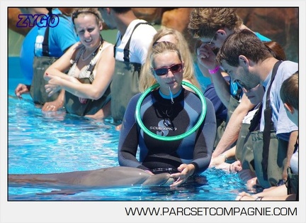 Marineland - Lagoon - Rencontre avec les dauphins - 6387