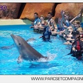 Marineland - Lagoon - Rencontre avec les dauphins - 6388