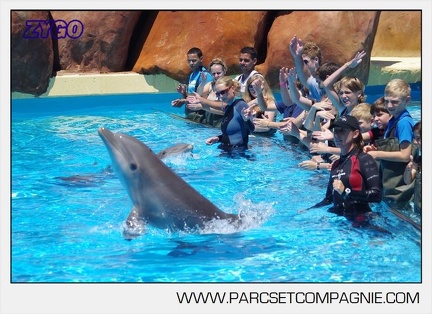 Marineland - Lagoon - Rencontre avec les dauphins - 6388