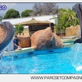 Marineland - Lagoon - Rencontre avec les dauphins - 6389