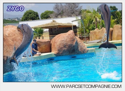 Marineland - Lagoon - Rencontre avec les dauphins - 6389