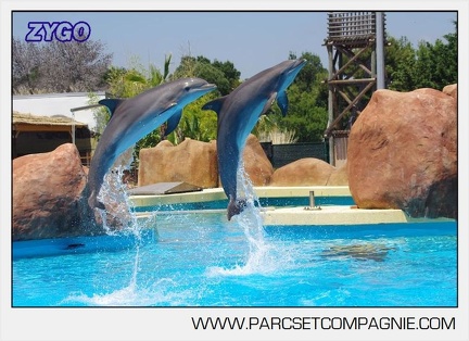 Marineland - Lagoon - Rencontre avec les dauphins - 6390