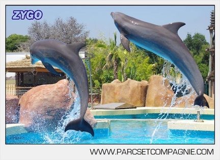Marineland - Lagoon - Rencontre avec les dauphins - 6392