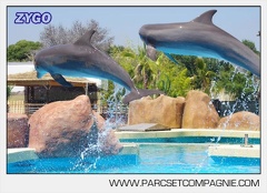 Marineland - Lagoon - Rencontre avec les dauphins - 6393