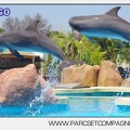 Marineland - Lagoon - Rencontre avec les dauphins - 6393