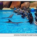 Marineland - Lagoon - Rencontre avec les dauphins - 6394