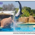 Marineland - Lagoon - Rencontre avec les dauphins - 6396