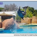 Marineland - Lagoon - Rencontre avec les dauphins - 6397