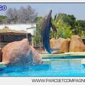 Marineland - Lagoon - Rencontre avec les dauphins - 6398