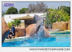 Marineland - Lagoon - Rencontre avec les dauphins - 6399