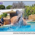 Marineland - Lagoon - Rencontre avec les dauphins - 6399