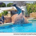 Marineland - Lagoon - Rencontre avec les dauphins - 6400