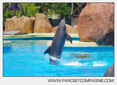 Marineland - Lagoon - Rencontre avec les dauphins - 6401