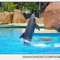 Marineland - Lagoon - Rencontre avec les dauphins - 6401