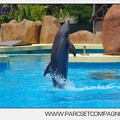 Marineland - Lagoon - Rencontre avec les dauphins - 6402