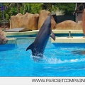 Marineland - Lagoon - Rencontre avec les dauphins - 6403