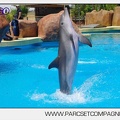 Marineland - Lagoon - Rencontre avec les dauphins - 6409