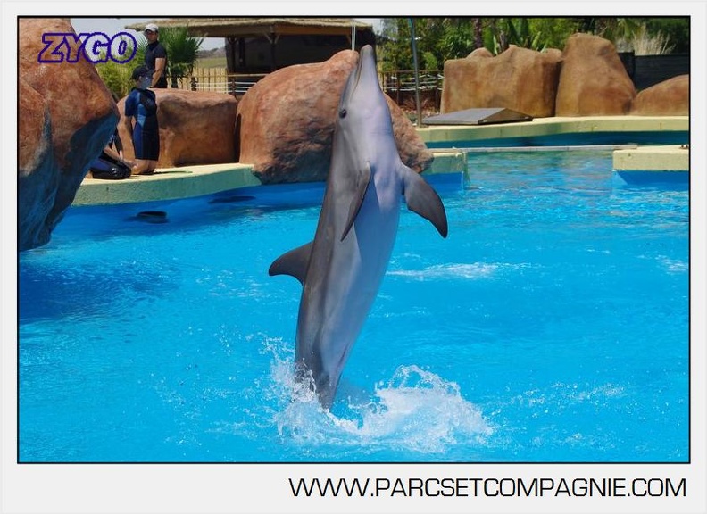 Marineland - Lagoon - Rencontre avec les dauphins - 6411