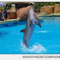 Marineland - Lagoon - Rencontre avec les dauphins - 6411