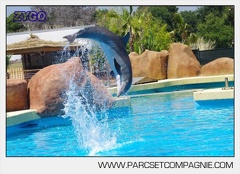 Marineland - Lagoon - Rencontre avec les dauphins - 6412