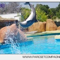 Marineland - Lagoon - Rencontre avec les dauphins - 6413