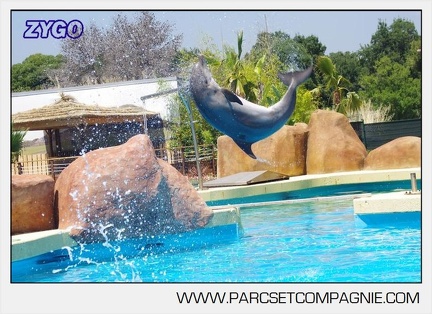 Marineland - Lagoon - Rencontre avec les dauphins - 6414