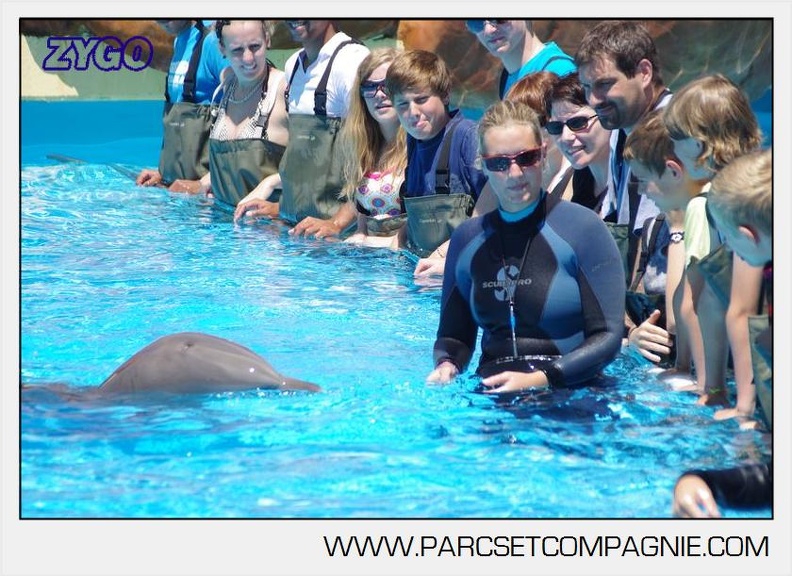 Marineland - Lagoon - Rencontre avec les dauphins - 6415
