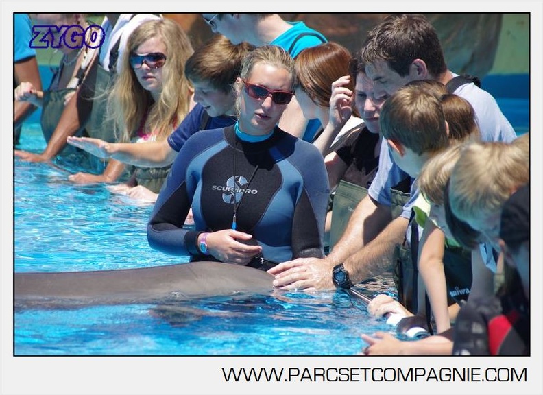 Marineland - Lagoon - Rencontre avec les dauphins - 6417