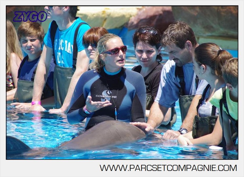 Marineland - Lagoon - Rencontre avec les dauphins - 6419