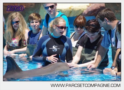 Marineland - Lagoon - Rencontre avec les dauphins - 6420