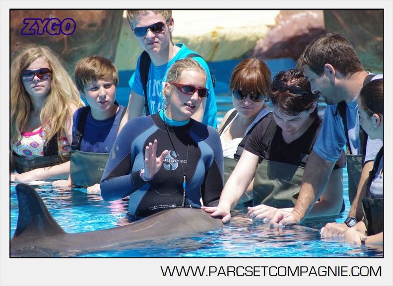 Marineland - Lagoon - Rencontre avec les dauphins - 6421