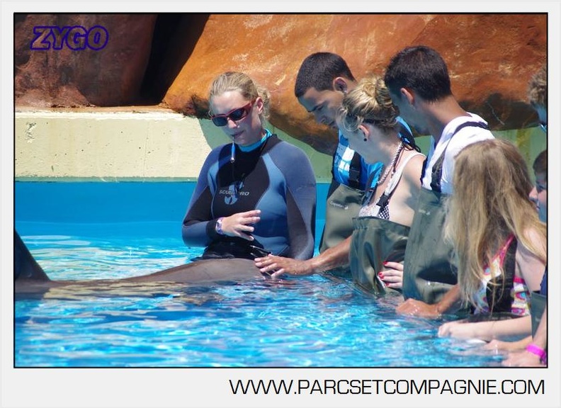 Marineland - Lagoon - Rencontre avec les dauphins - 6422