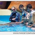 Marineland - Lagoon - Rencontre avec les dauphins - 6422