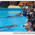 Marineland - Lagoon - Rencontre avec les dauphins - 6423