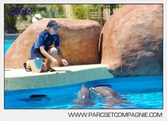 Marineland - Lagoon - Rencontre avec les dauphins - 6424