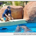 Marineland - Lagoon - Rencontre avec les dauphins - 6424