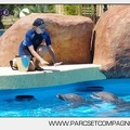 Marineland - Lagoon - Rencontre avec les dauphins - 6425