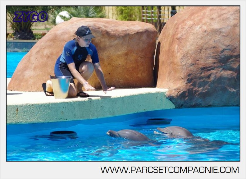 Marineland - Lagoon - Rencontre avec les dauphins - 6426
